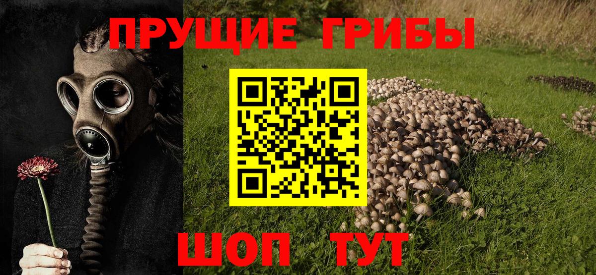 Псилоцибиновые грибы мухоморы  наркошоп  Кирово-Чепецк  Вход с VPN 